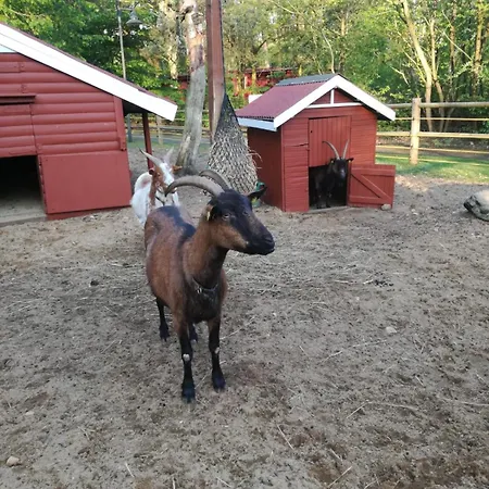 Tiny House Mit Garten In Der Lueneburger Heide Prázdninový dům *