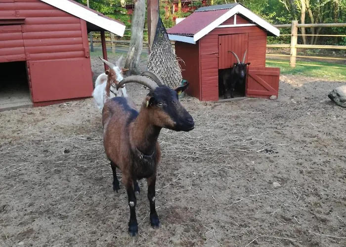 Tiny House Mit Garten In Der Lueneburger Heide בית נופש *